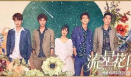 流星花园新版在线观看,青春再现，新版在线观看，重温经典